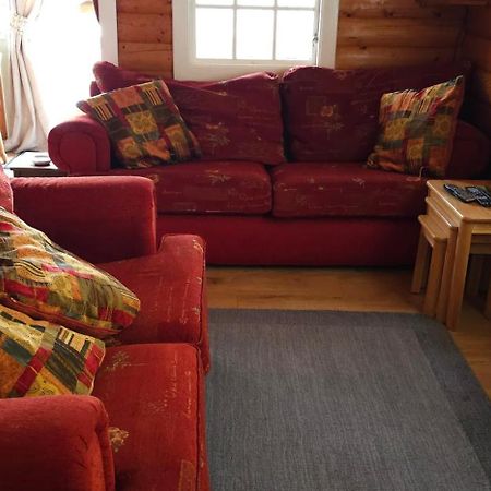 Snowdonia National Park Log Cabin With Garden Trawsfynydd Exterior photo