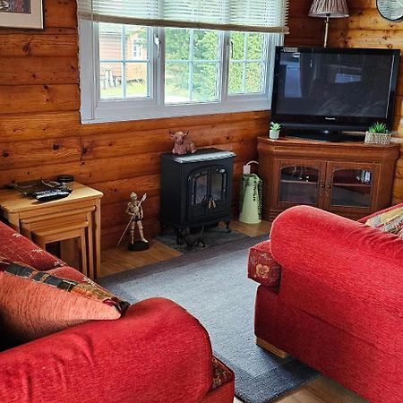 Snowdonia National Park Log Cabin With Garden Trawsfynydd Exterior photo