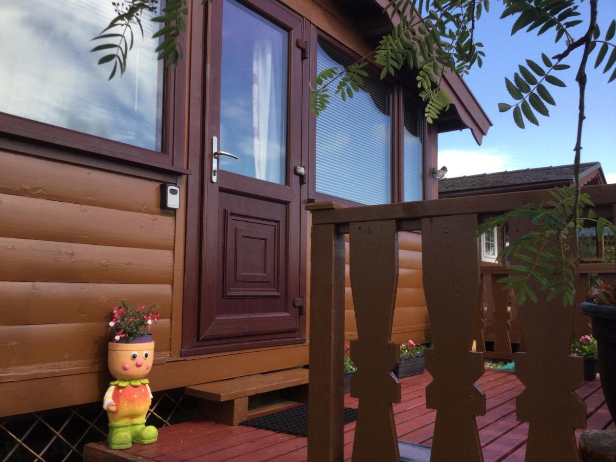 Snowdonia National Park Log Cabin With Garden Trawsfynydd Exterior photo