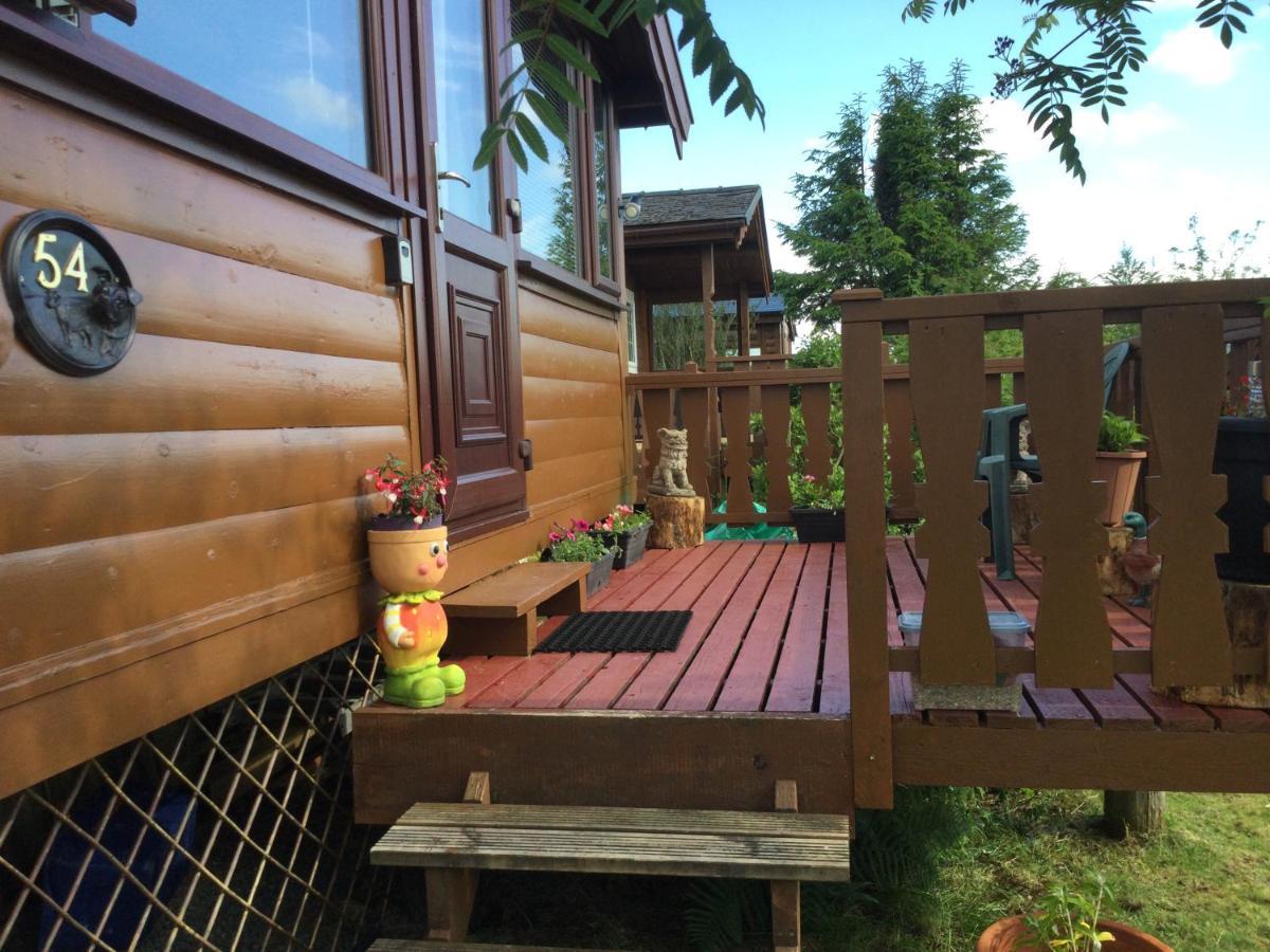 Snowdonia National Park Log Cabin With Garden Trawsfynydd Exterior photo
