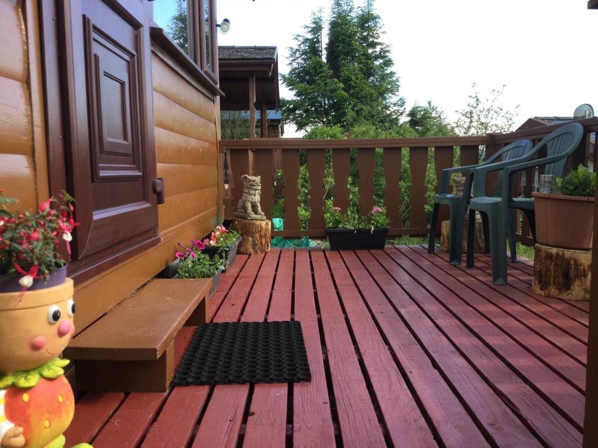 Snowdonia National Park Log Cabin With Garden Trawsfynydd Exterior photo