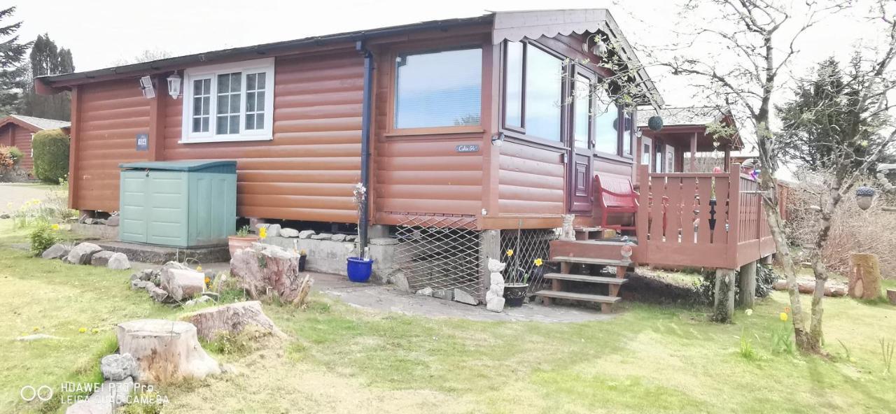 Snowdonia National Park Log Cabin With Garden Trawsfynydd Exterior photo