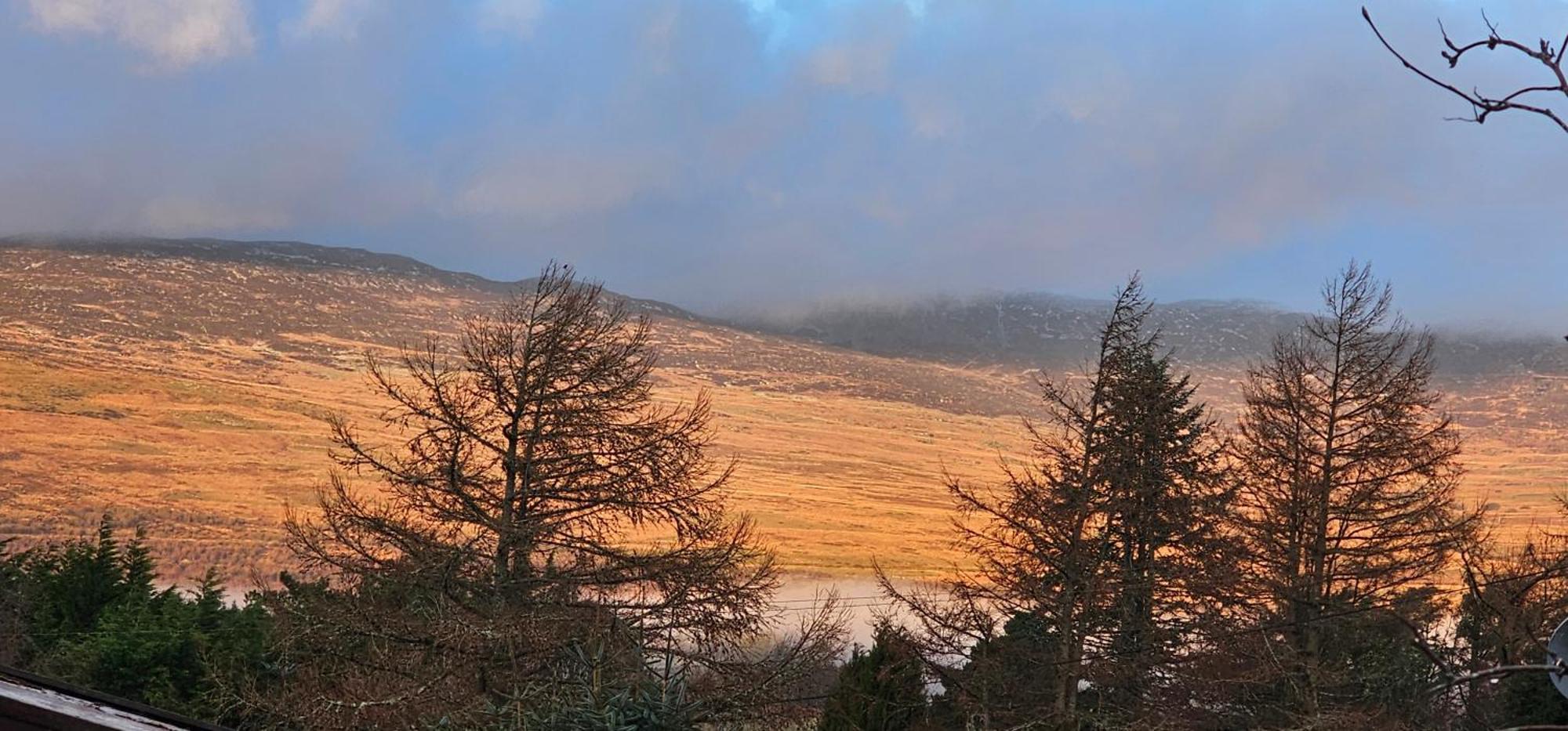 Snowdonia National Park Log Cabin With Garden Trawsfynydd Exterior photo